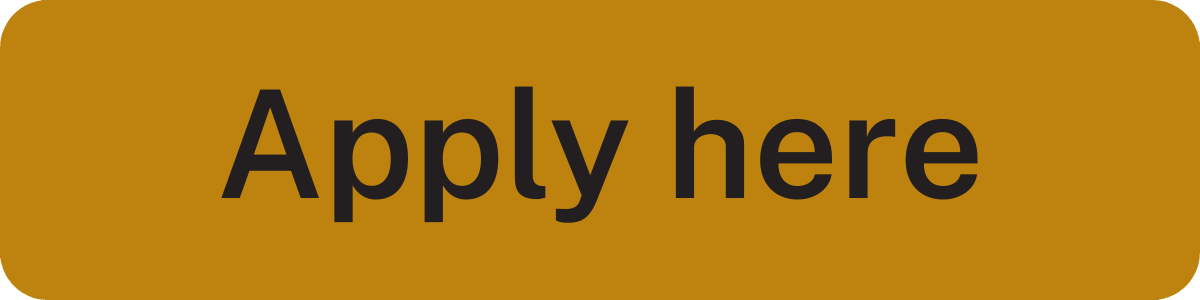 Apply here button linking to the Director, experience, wellbeing and inclusion job ad. 