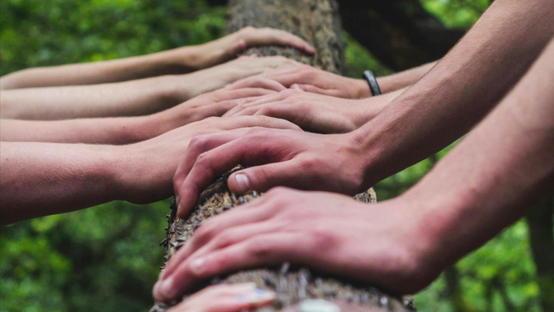 Multiple hands gripping a horizontal tree trunk outdoors, symbolising teamwork and support.
