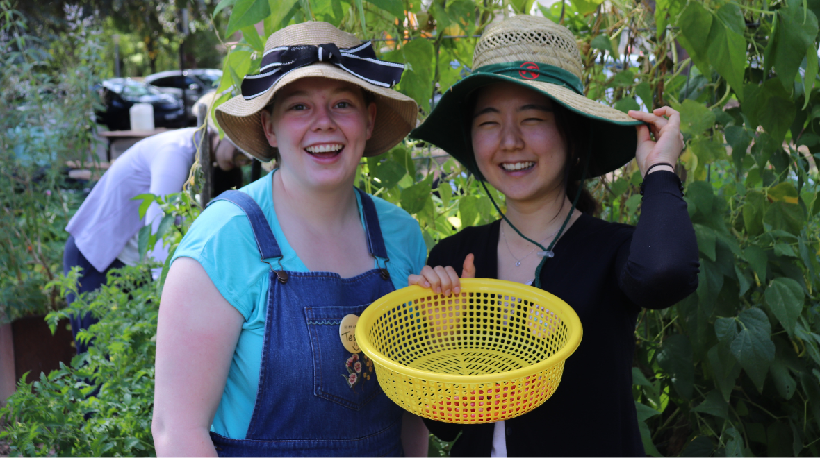 Two girls standing, wearing hats, and holding a basket with cherry tomatoes at the kitchen garden 