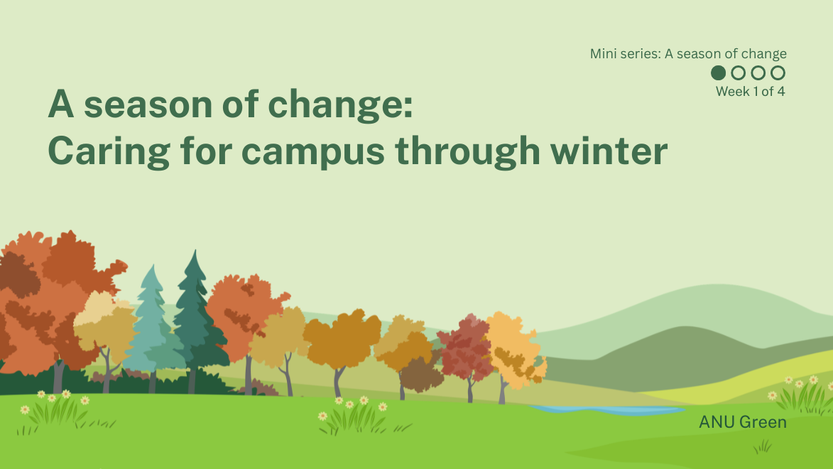 Graphic for ��������Green&rsquo;s &ldquo;A season of change&rdquo; mini series, showing illustrated autumn trees, hills and gardens promoting care for campus through winter.