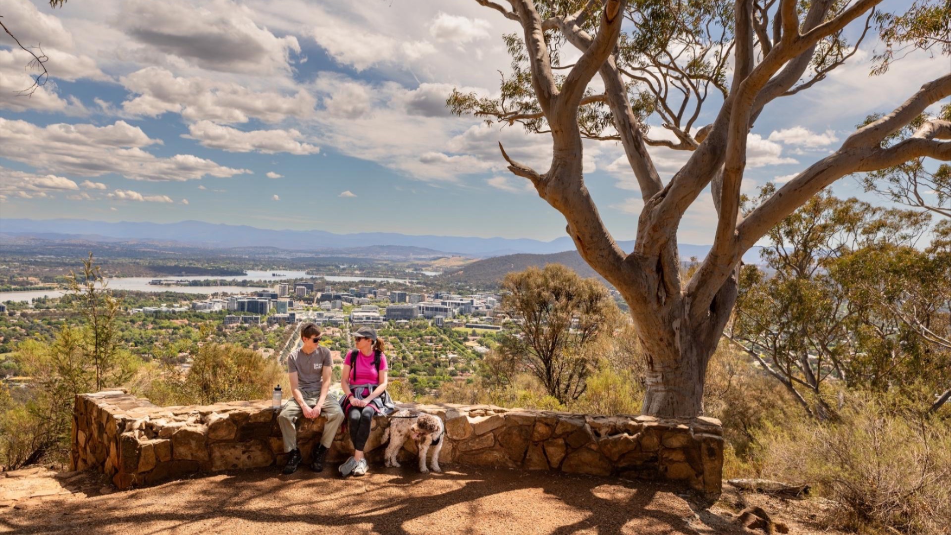 2 people in hiking outfits and their puppy on a leash, sitting under a tree and taking a break from their hike. 