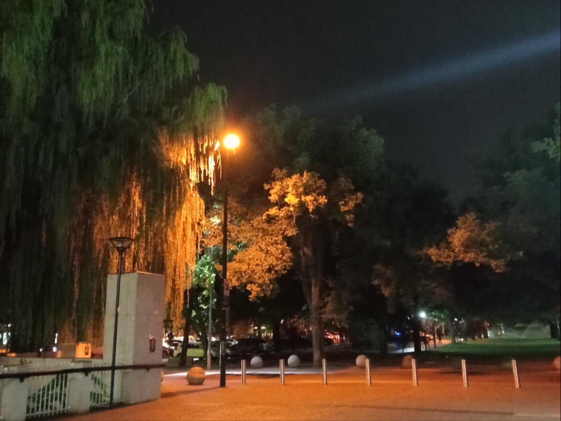 A quiet ��������campus path at night, lit by a warm streetlight catching the trailing branches of a weeping willow in the rain.