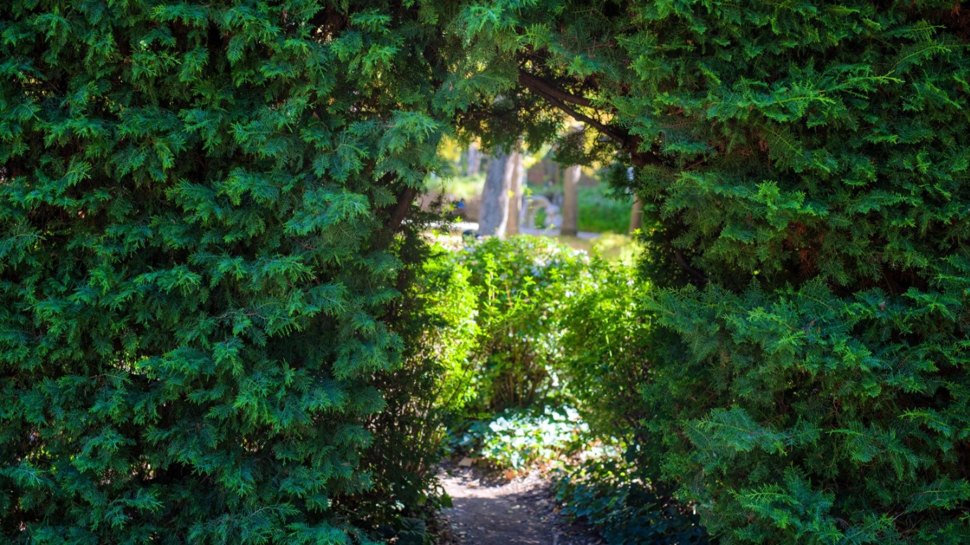 Outdoor dining along a lit street at night beside a modern glass-fronted building, with people seated at tables.