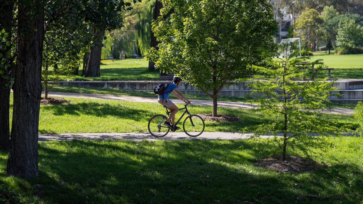 Man on bike riding on campus.