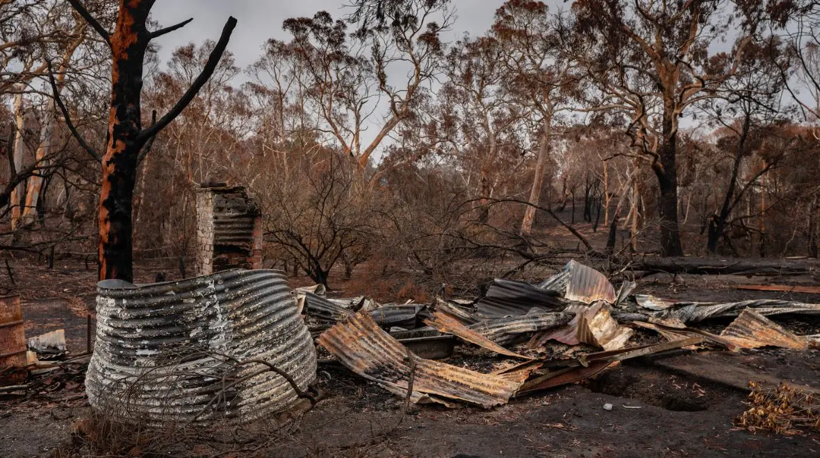 Burnt trees, broken metal sheets and ash &ndash; the impact of forest fires 