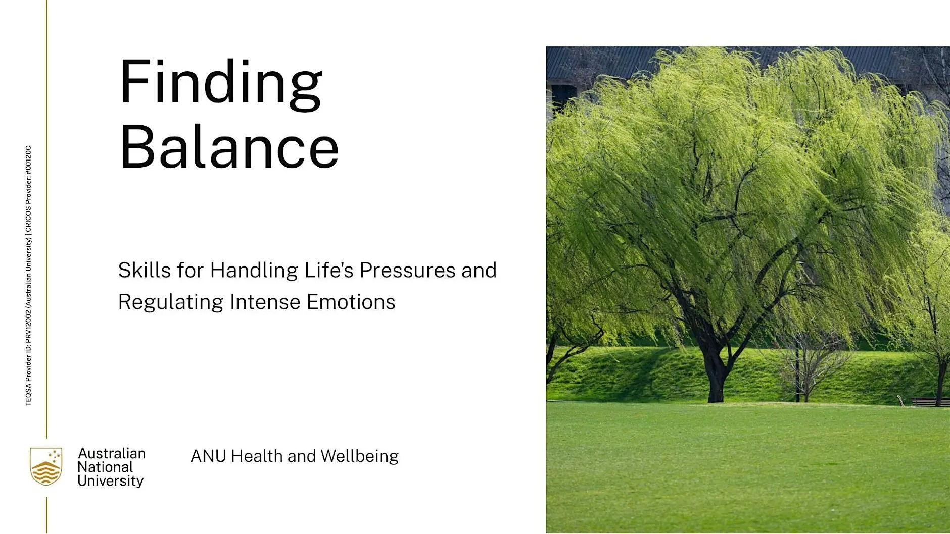 Title slide reading 'Finding Balance: Skills for Handling Life's Pressures and Regulating Intense Emotions,' ������ƵHealth and Wellbeing, with a photo of a weeping willow tree on green lawn.