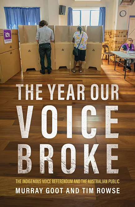 Book cover of &ldquo;The Year Our Voice Broke&rdquo; pictured.