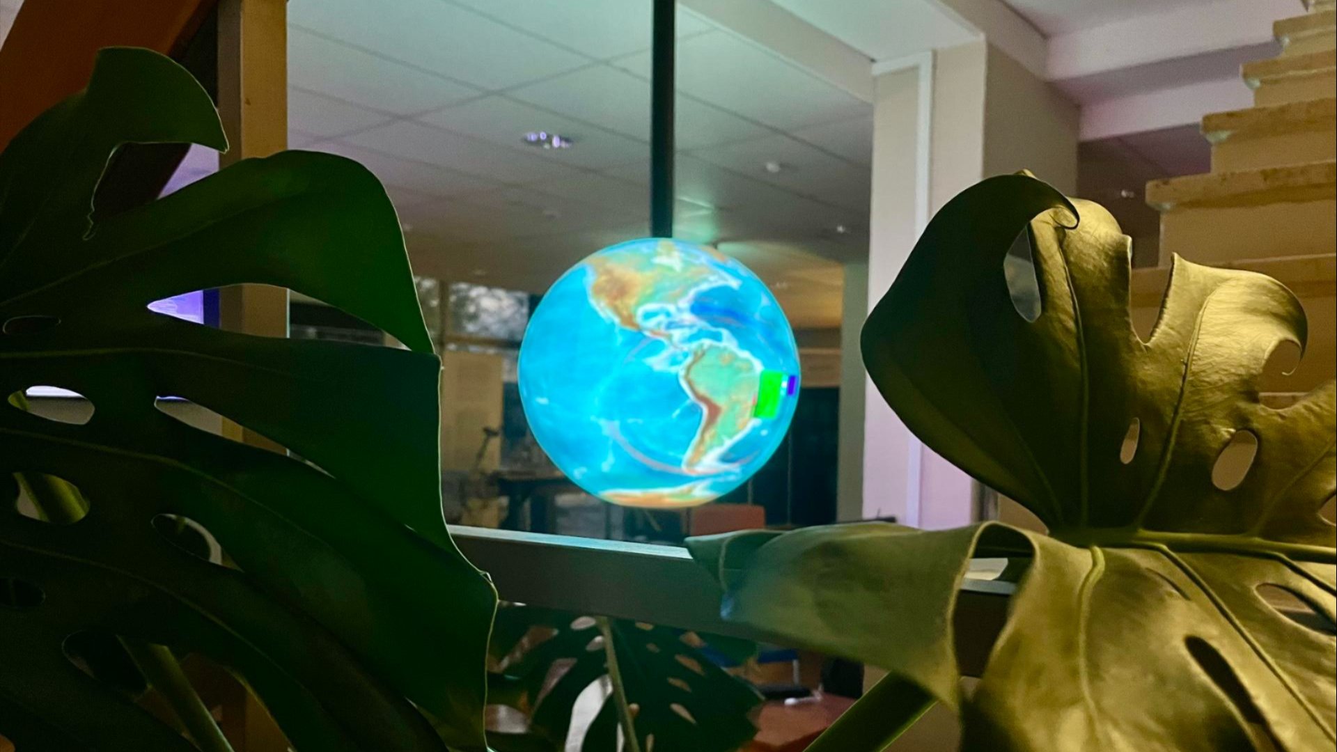 Illuminated globe viewed through large indoor plant leaves at the Research School of Earth Sciences.