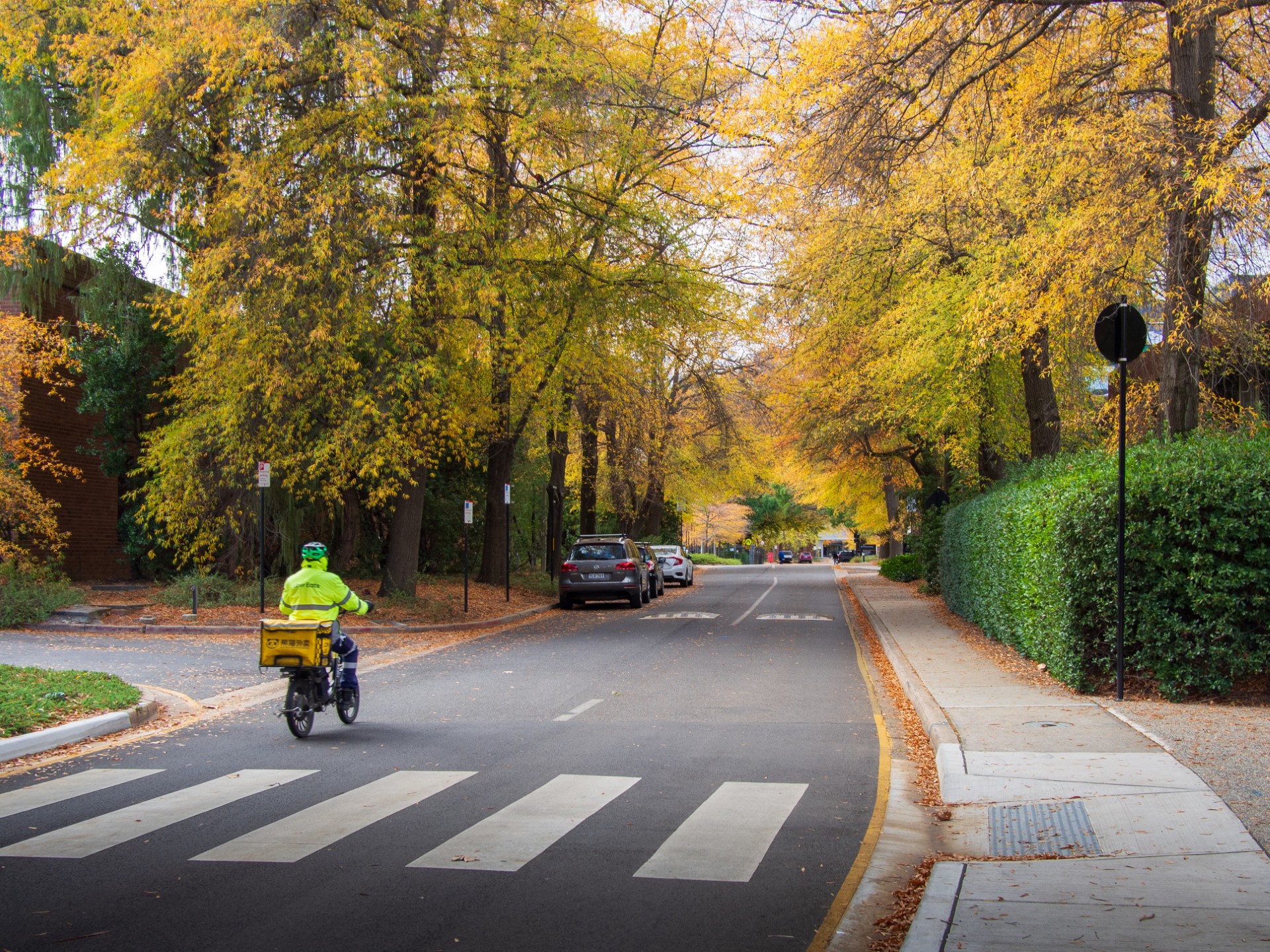 A cyclist rides along a tree-lined campus road covered in autumn leaves.