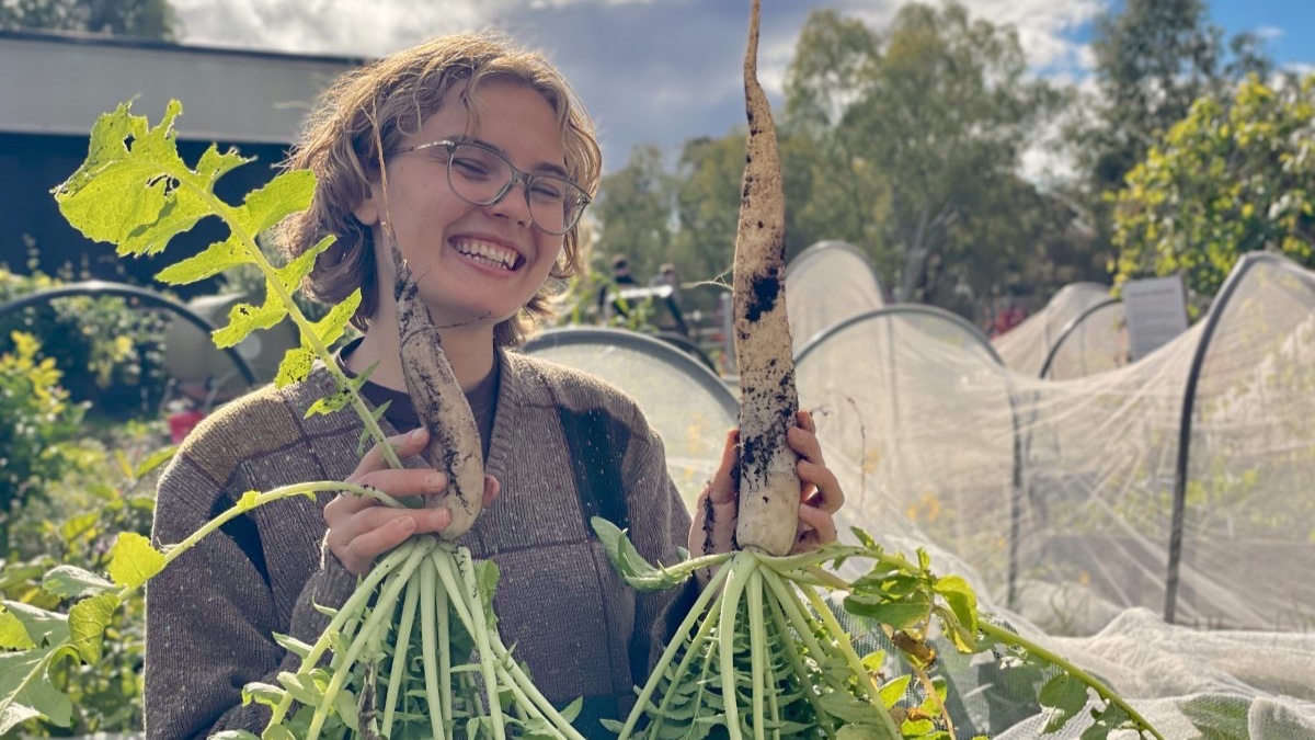 Jordan Stevens smiling and holding a harvested daikon radish in each hand. 