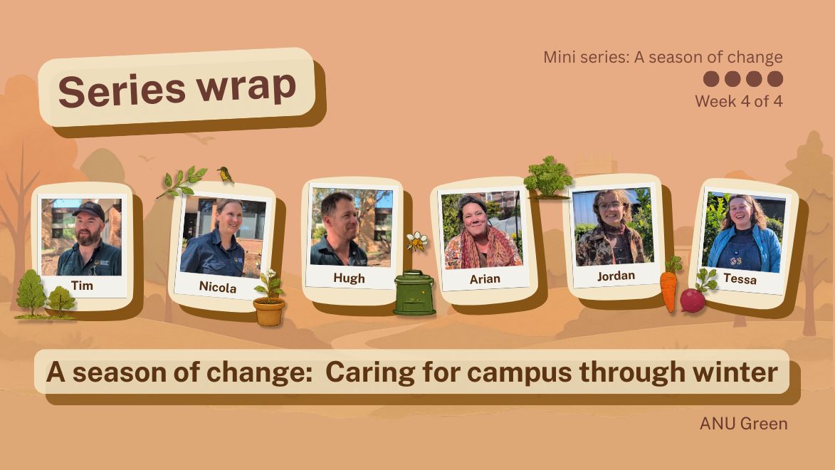Series wrap graphic for the ������Ƶlogo Green mini series 